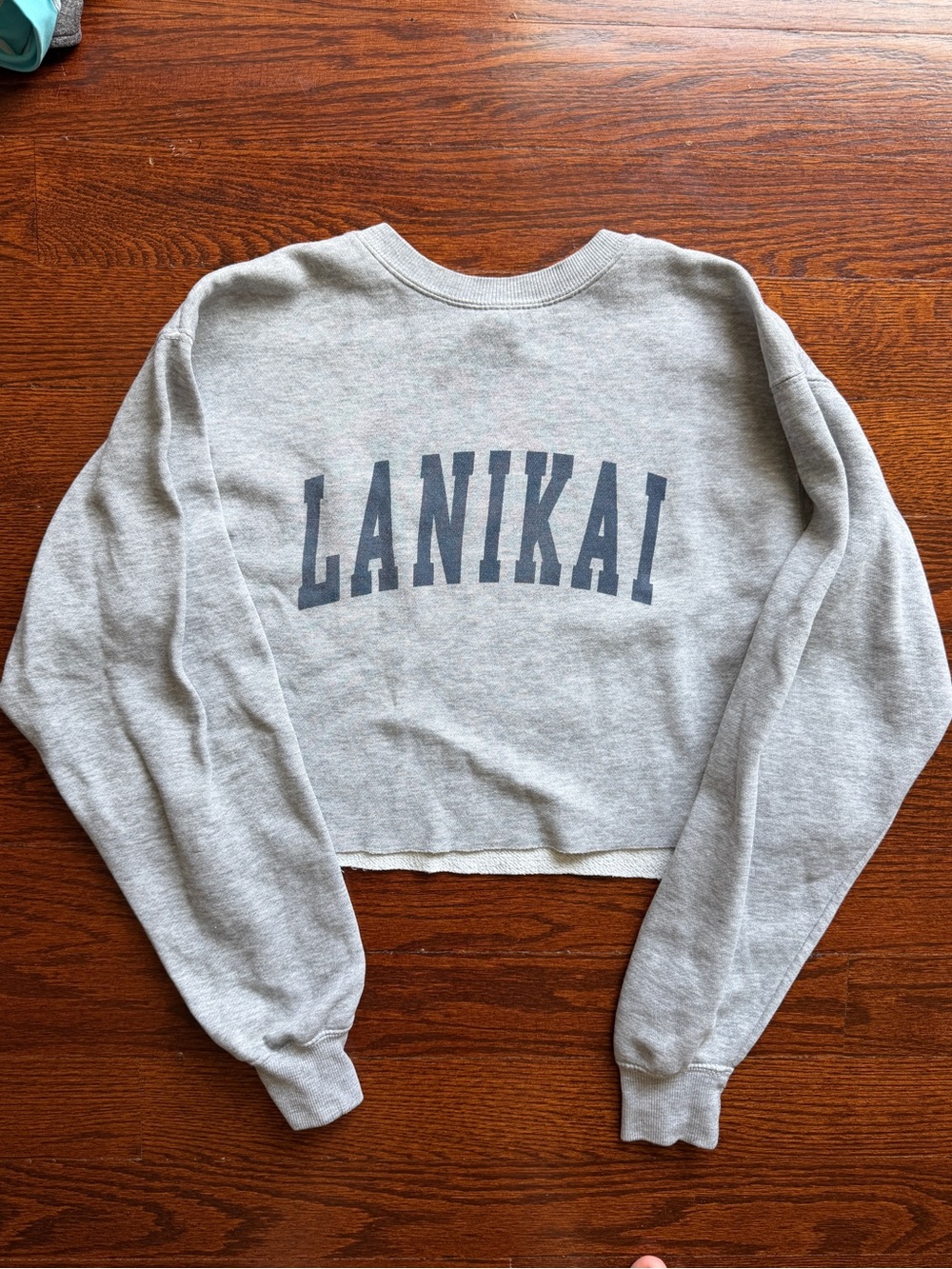 Brandy Melville Gray Lanikai Cropped Crewneck Sweatshirt